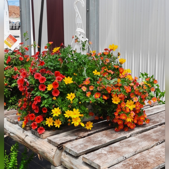 Meet your Posher, Sarah - Picture 5 of 12